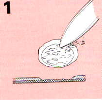 Entretien de carrosserie