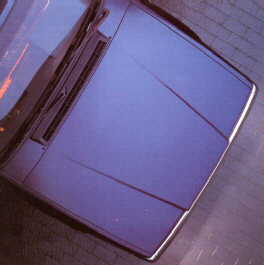 neus blauwe 780